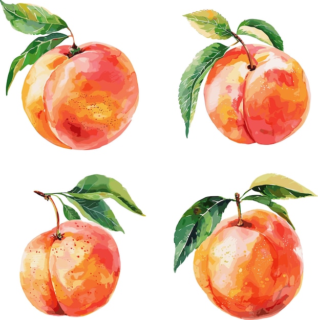 Pfirsich-frucht-satz aquarell isoliert auf weißem hintergrund