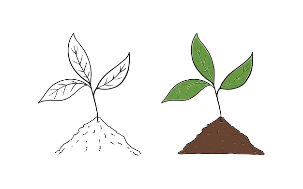 Vektor pflanzenblätter aus dem boden naturernte doodle lineare cartoon-färbung