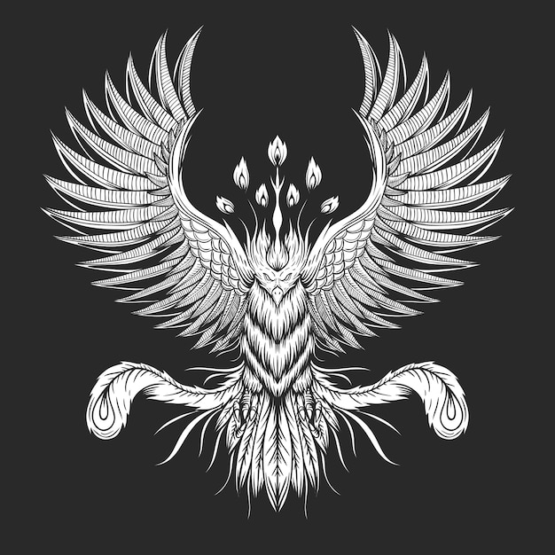 Vektor phoenix bird illustration