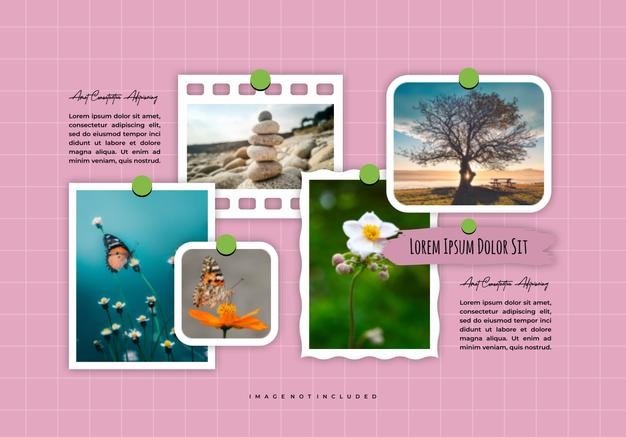 picture blank collage frame template for photos and images