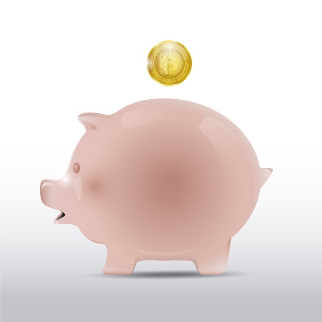 Piggy Bank Design