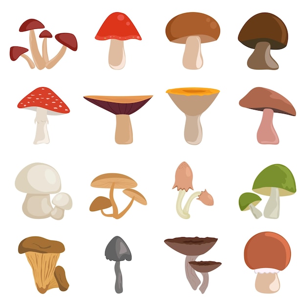 Pilz-set verschiedene arten von essbaren und ungenießbaren zeichentrickpilz-ikonen