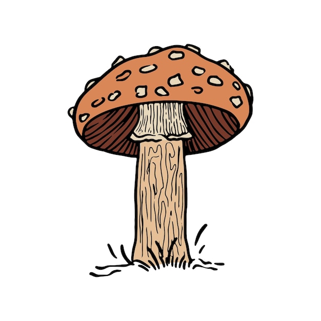 Pilz-vektor-illustration