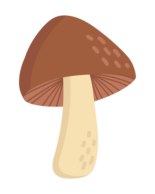 Pilz