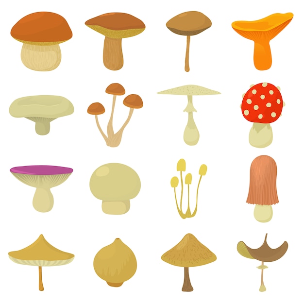 Pilzarten icons set