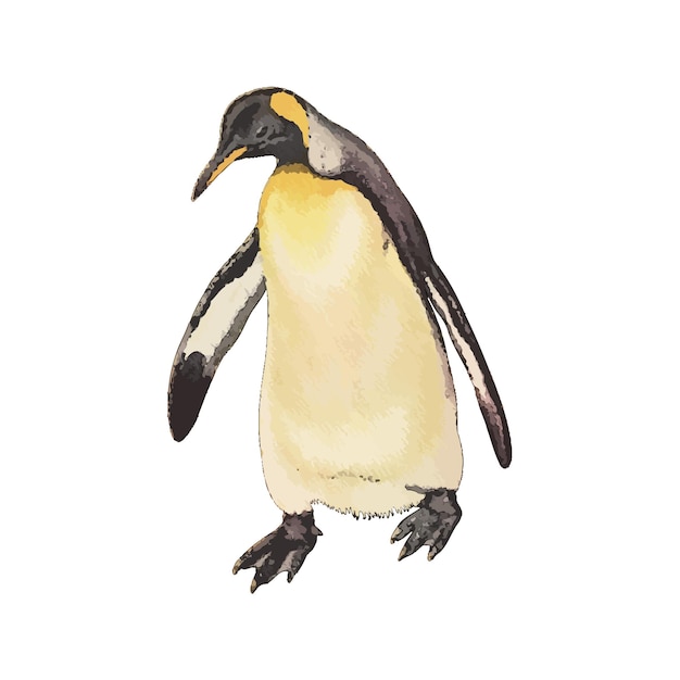 Vektor pinguin-aquarell-vektorillustration