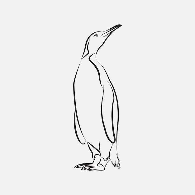 Pinguin-Vogel-Strichzeichnungen