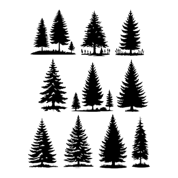 Pinien-Vektor-Silhouette Baum-Vector-Siluette schwarze Farbe Vektor-Silouette