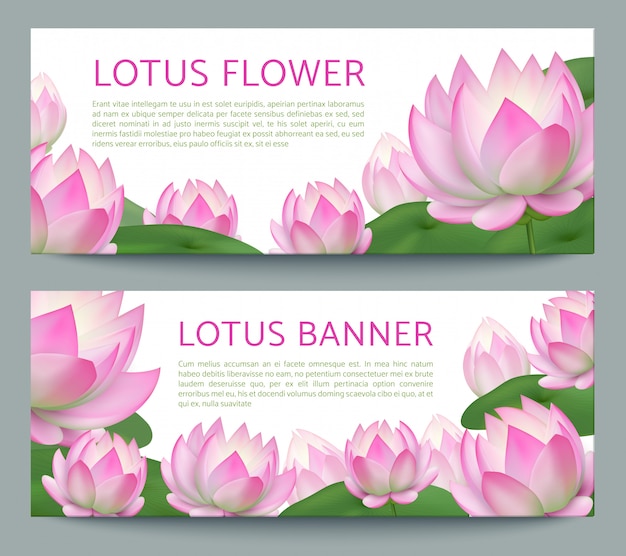 Pink lotus banner gesetzt