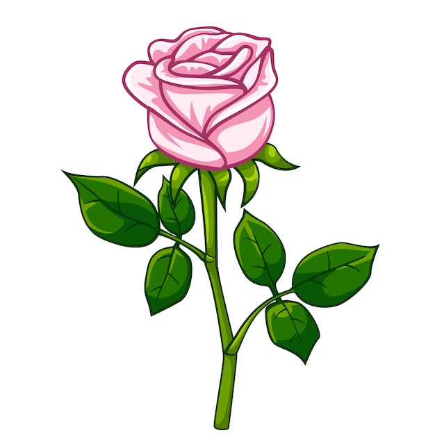 Pink rose cartoon-stil