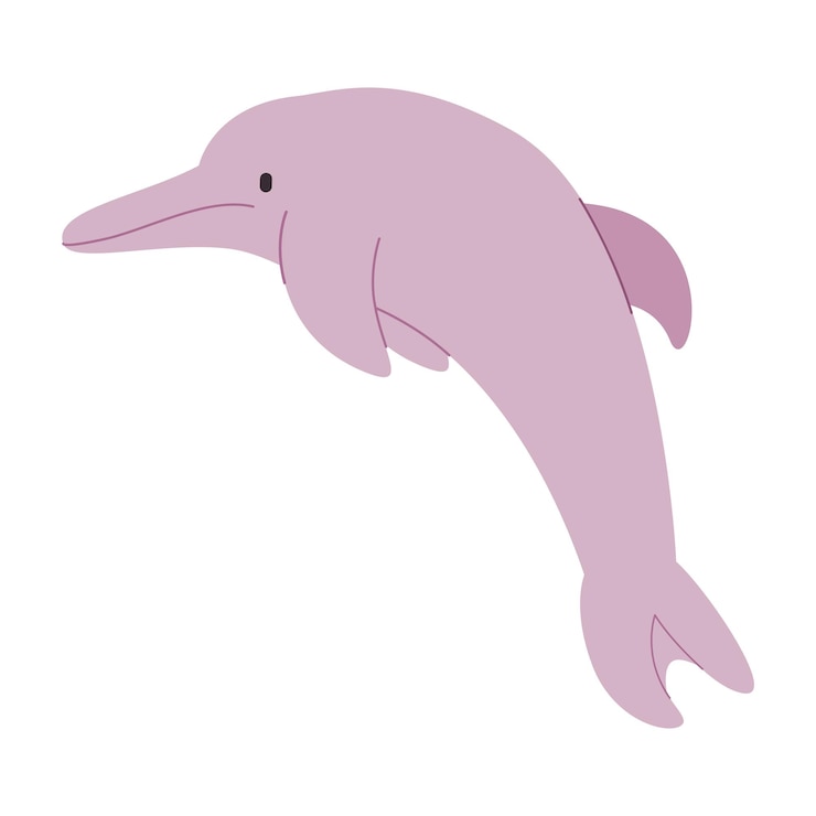 Vektor pinkfarbiger flussdelfin, süßes, entzückendes, freundliches säugetier mit sprungposition, wunderschönes geschöpf