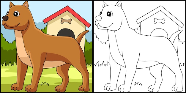 Pitbull Hund Färbung Seite farbige Illustration