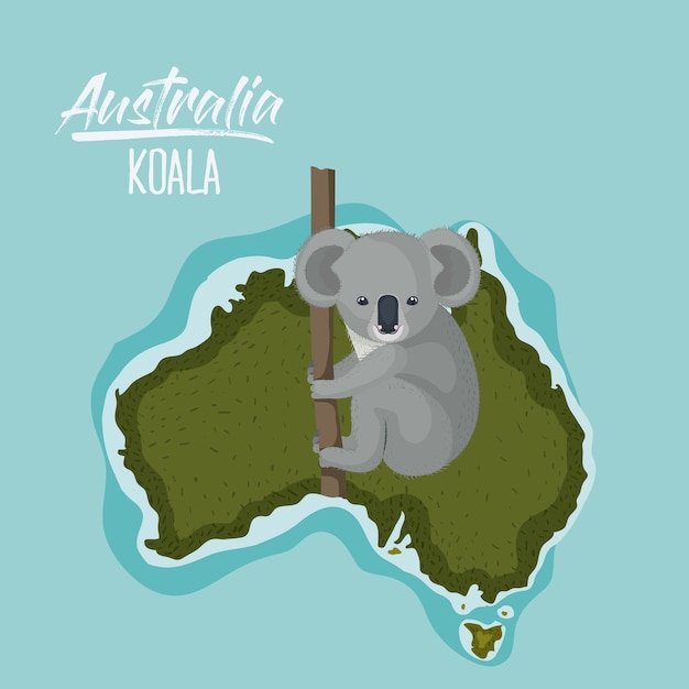 Vektor plakatkoala in der australien-karte