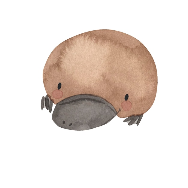 Vektor platypus-aquarellillustration für kinder