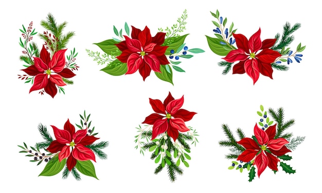 Vektor poinsettia-blumen mit tannen- und beerenzweigen zusammensetzung vektor-set