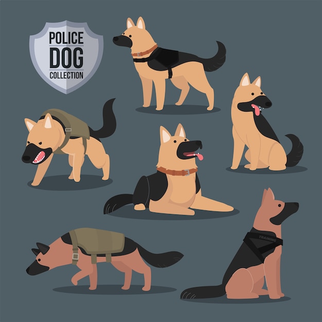 Vektor polizeihund deutscher schäferhund sammlung viele posen