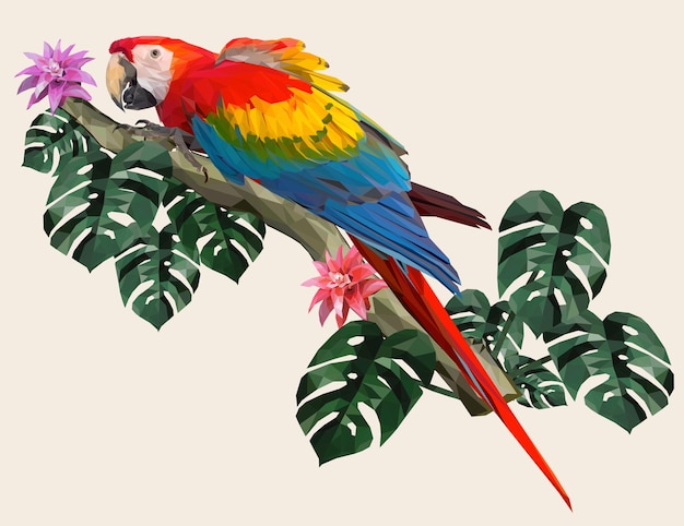 Vektor polygonaler illustrations-ara-vogel mit amazonas-waldblättern.