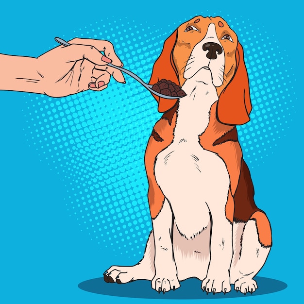 Pop art beagle weigert sich zu essen. trauriger hund will nicht nahrung von der menschlichen hand nehmen.