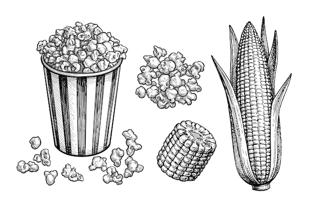 Vektor popcorn in gestreifter tasse und maiskolben mit blättern. handgezeichnete tintenskizzen.