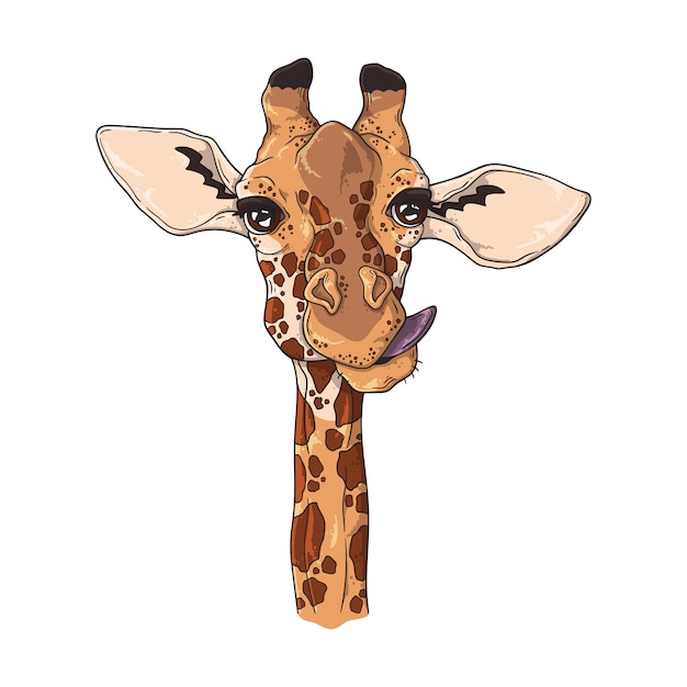 Porträt der lustigen Giraffe.