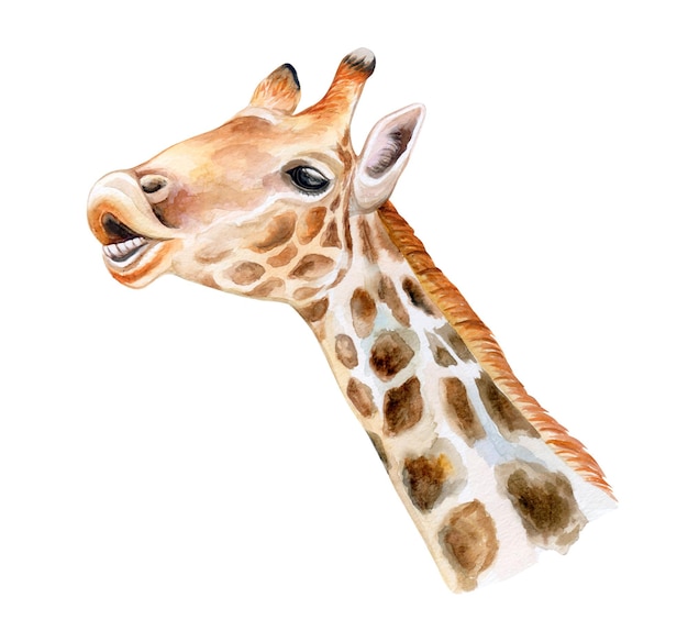 Porträt einer Giraffe. Afrikanische Tiere. Aquarell