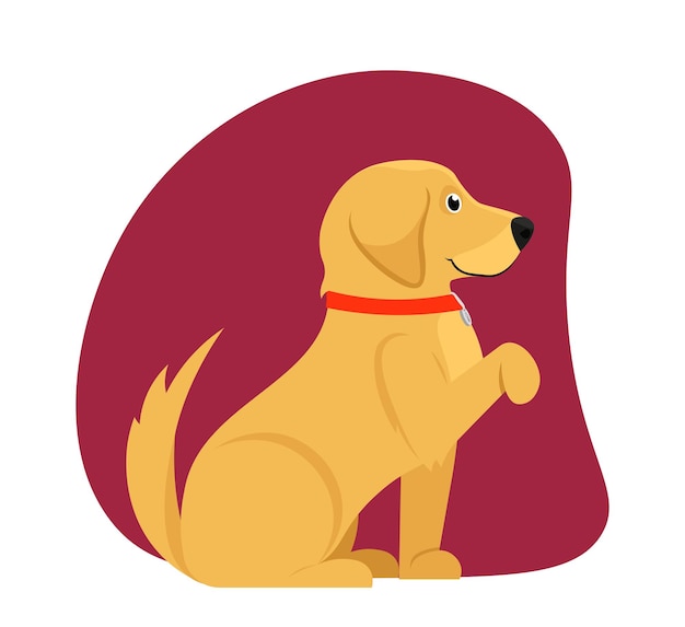 Porträt eines niedlichen Hundes, ein liebenswerter ausgebildeter Labrador sitzt und streckt seine Pfote aus, ein glücklicher, flauschiger Welpe
