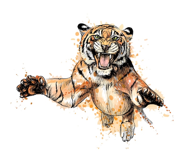 Porträt eines Tigers, der von einem Spritzer Aquarell springt, handgezeichnete Skizze. Illustration von Farben