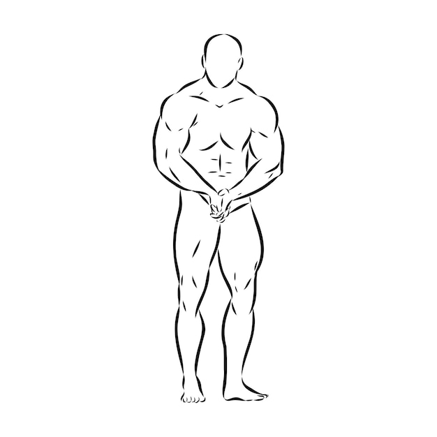 Vektor posing bodybuilder isolierte vektor silhouette tinte zeichnung