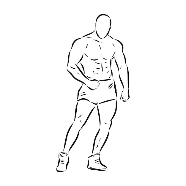 Vektor posing bodybuilder isolierte vektor silhouette tinte zeichnung
