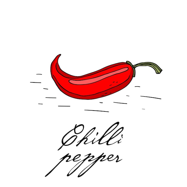 Poster mit handgezeichnetem Chili-Pfeffer-Isolat auf weißem Hintergrund Vektor-Icons im Sketch-Stil Handgezeichnete Objekte