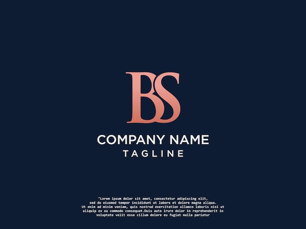 Premium-BS-Brief-Logo