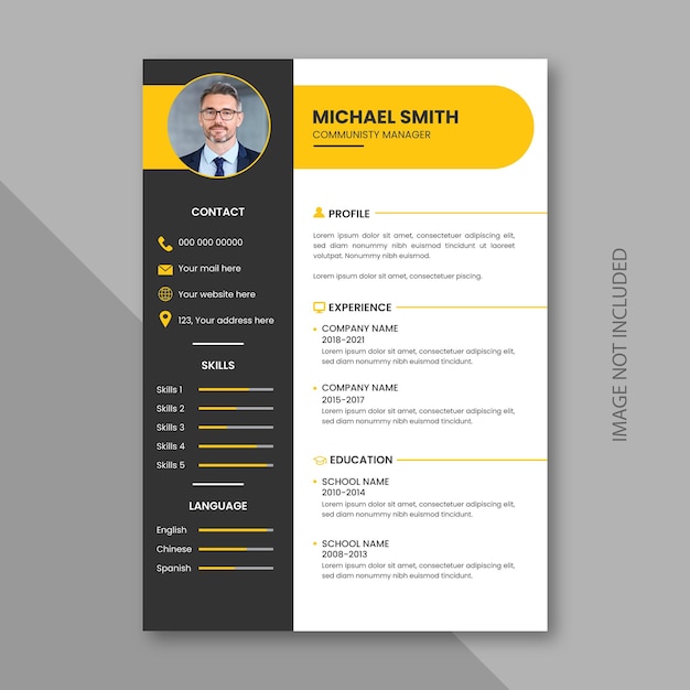 Professionelles, sauberes Lebenslauf-Vorlagen-Layout
