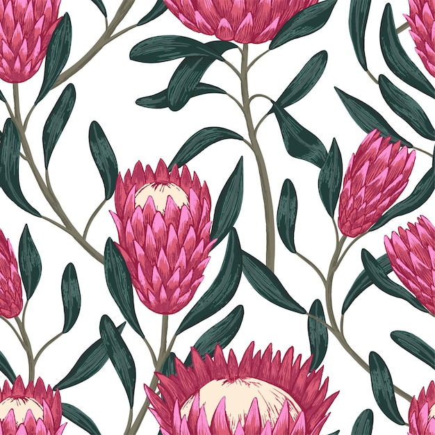 Protea tropische Blumen. Ornament mit exotischen Pflanzen. Hand gezeichnetes nahtloses Muster des Vektors. Vintage botanisches Design für Tapeten, Druck, Dekor, Hintergrund, Textil.