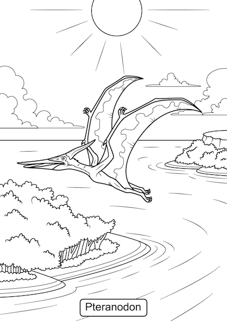 Vektor pteranodon-dinosaurier-strichzeichnungen zum ausmalen von seitenvektorillustrationen