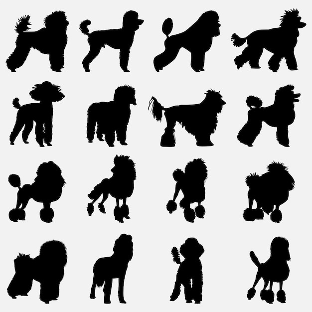 Pudel-hund-silhouette-vorlage