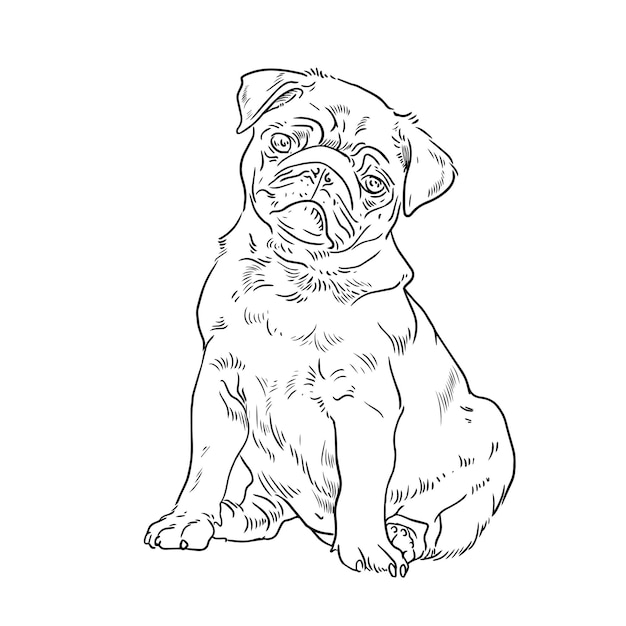 Pug-Hund-Vektor-Skizze