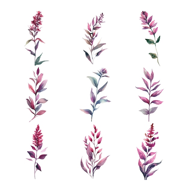 Purpureawasserfarbe mit handgemalte blumen, isoliert auf weißem hintergrund vektorillustration