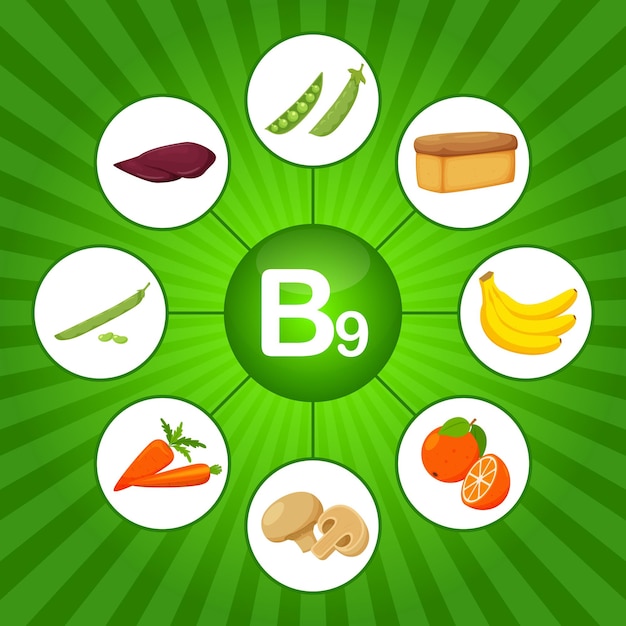 Vektor quadratisches poster mit lebensmitteln, die vitamin b9 enthalten folsäure medizin ernährung gesunde ernährung infografiken flache cartoon-lebensmittelelemente auf hellgrünem hintergrund mit sonnenstrahl