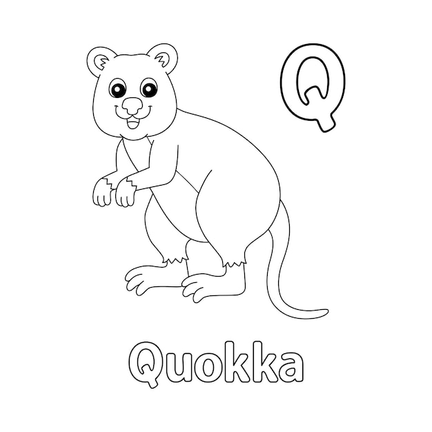 Quokka Alphabet ABC Malvorlage Q