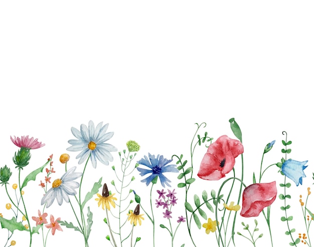 Vektor rahmen aus aquarell-wildblumen