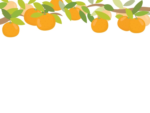 Vektor rahmen aus mandarinen