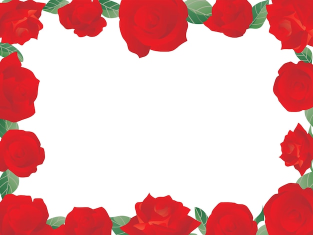 Rahmenillustration der roten Rose