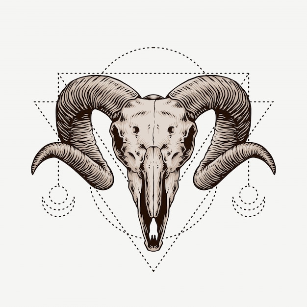 Ram schädel. boho und hipster hand gezeichnete illustration.