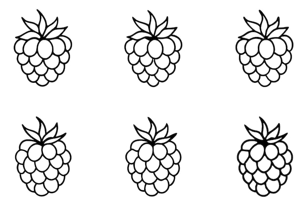 Raspberry Line Art digitale Zeichnung Leitfaden Tipps