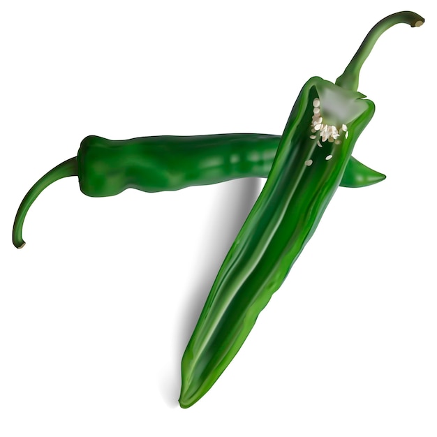 Realistisch detaillierter 3D-Vektor für grüne Chili-Pfeffer