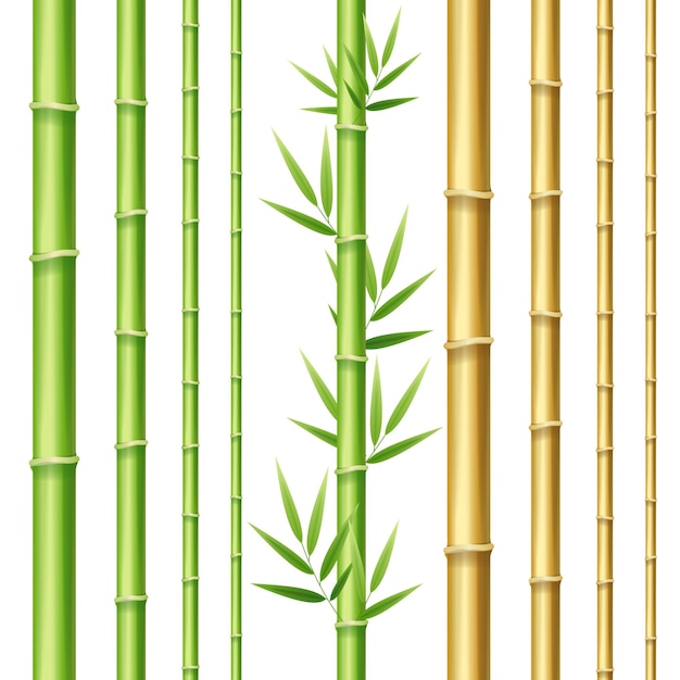 Vektor realistische 3d detaillierte bambussprossen hintergrund vektor