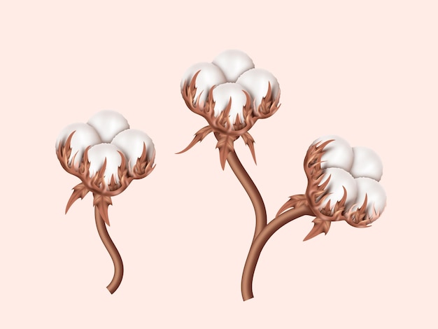 Vektor realistische baumwollzweige mit weißen, flauschigen blütenstielen für pflegestoffe und textilien