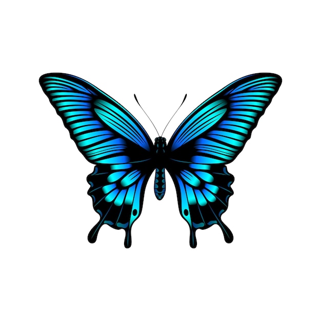 Realistische bunte Schmetterlings-Vektorillustration Schmetterlings-Clipart