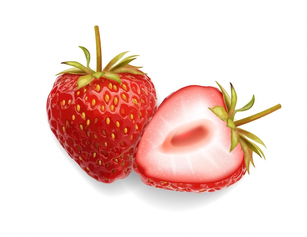 Realistische Erdbeere, Sommerfrucht