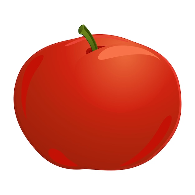 Realistische frische reife Tomaten vor weißem Hintergrund Vektor